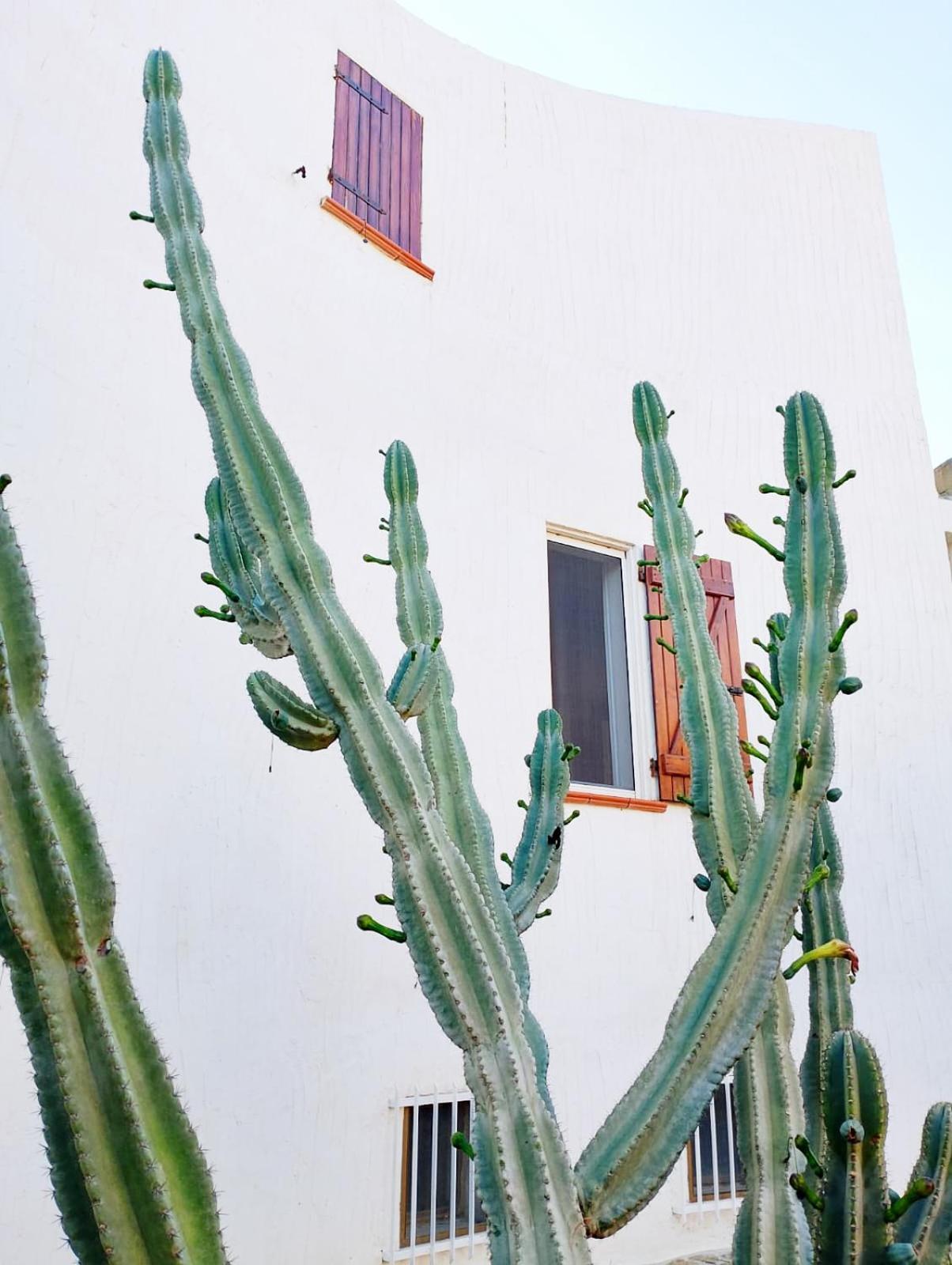 Holiday home Anna 300 M Dal Mare